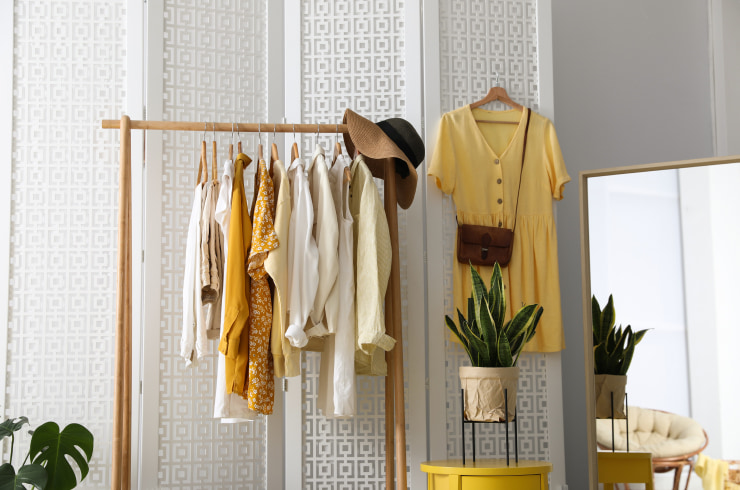Light room with a beautifully arranged garment rack.