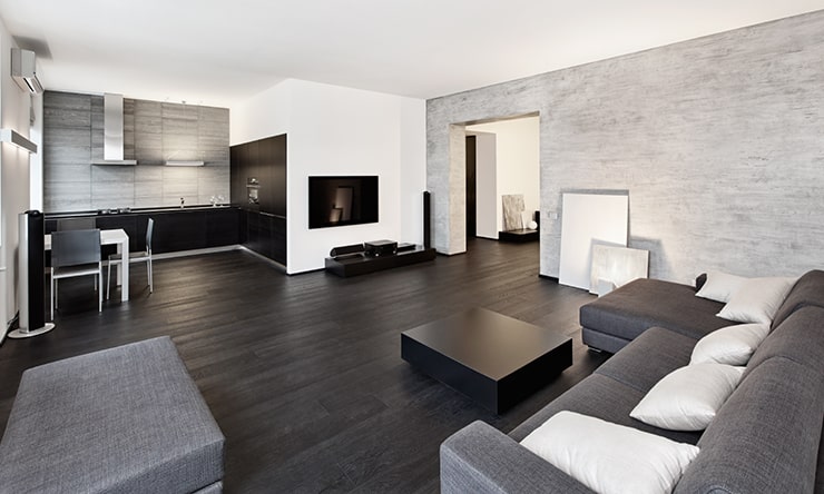 A stylish living room in black and white colors