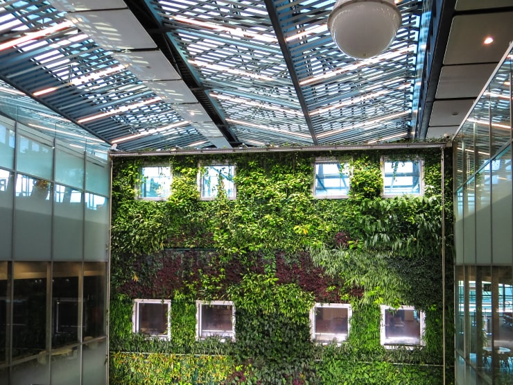A green wall inside the building.