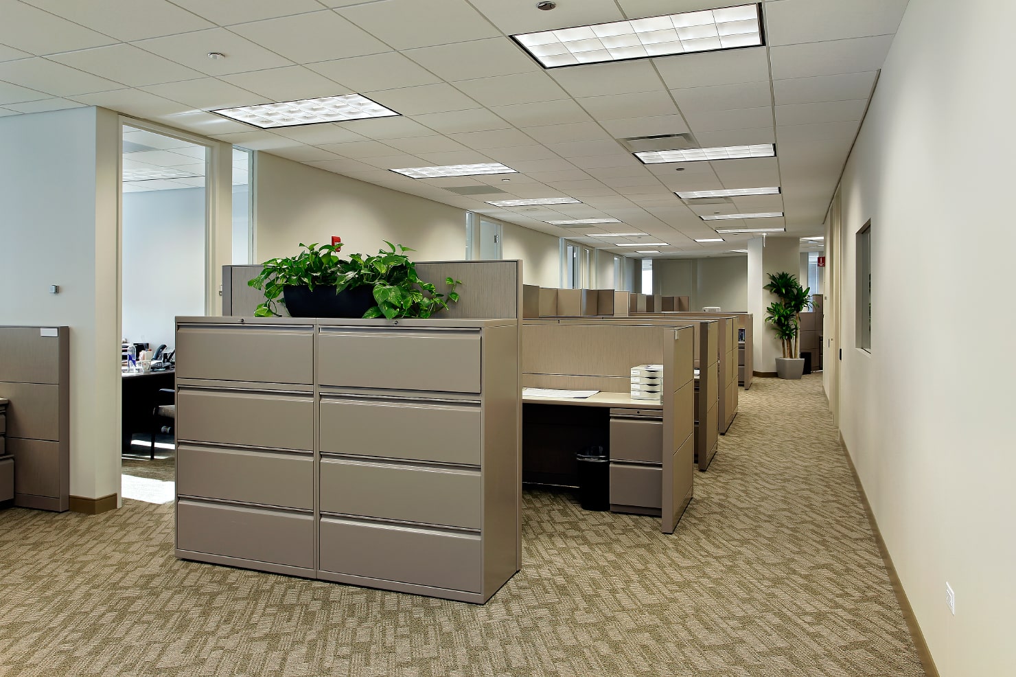 Types of Office Layouts Live Home 3D